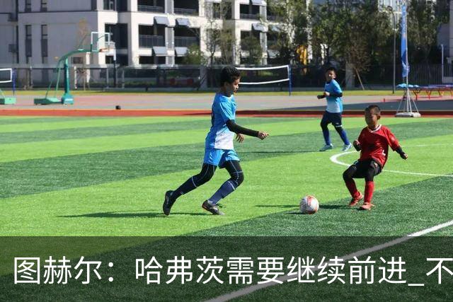 图赫尔：哈弗茨需要继续前进 不能过度使用詹姆斯