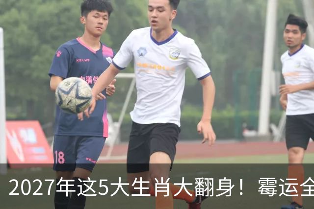 2027年这5大生肖大翻身！霉运全消，事业起飞，正财偏财全面爆发